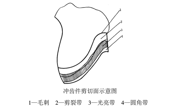 齿轮普通冲齿精度相关说明（供参考了解）